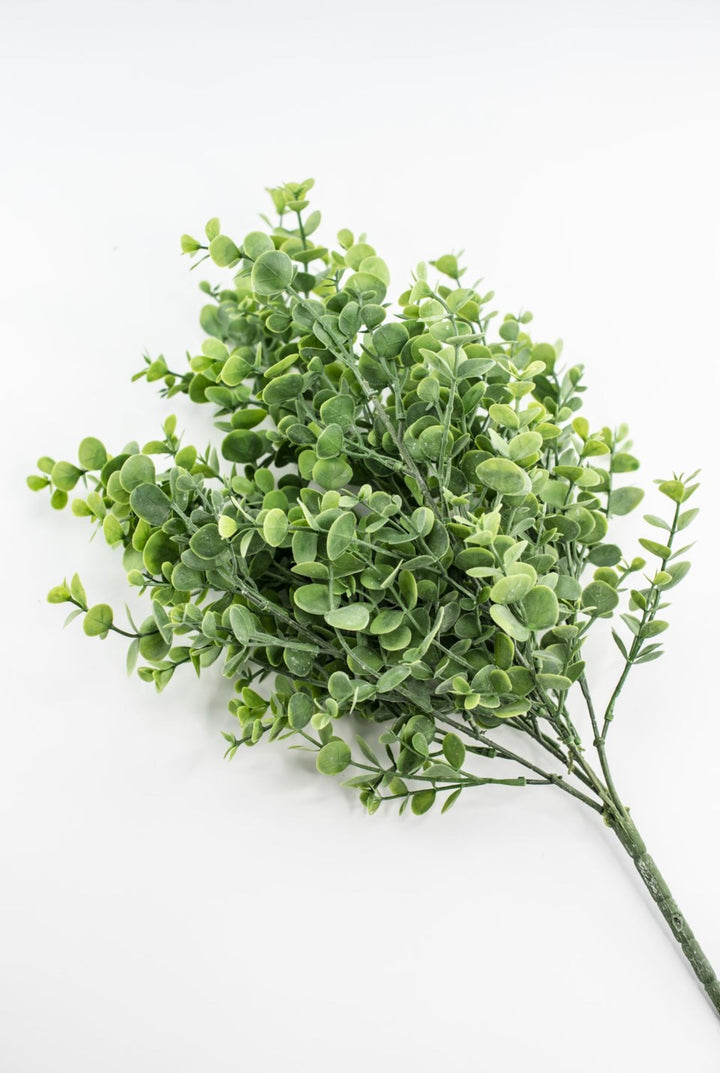 Eucalyptus bush - light green - Greenery Market84816 - FROSTED
