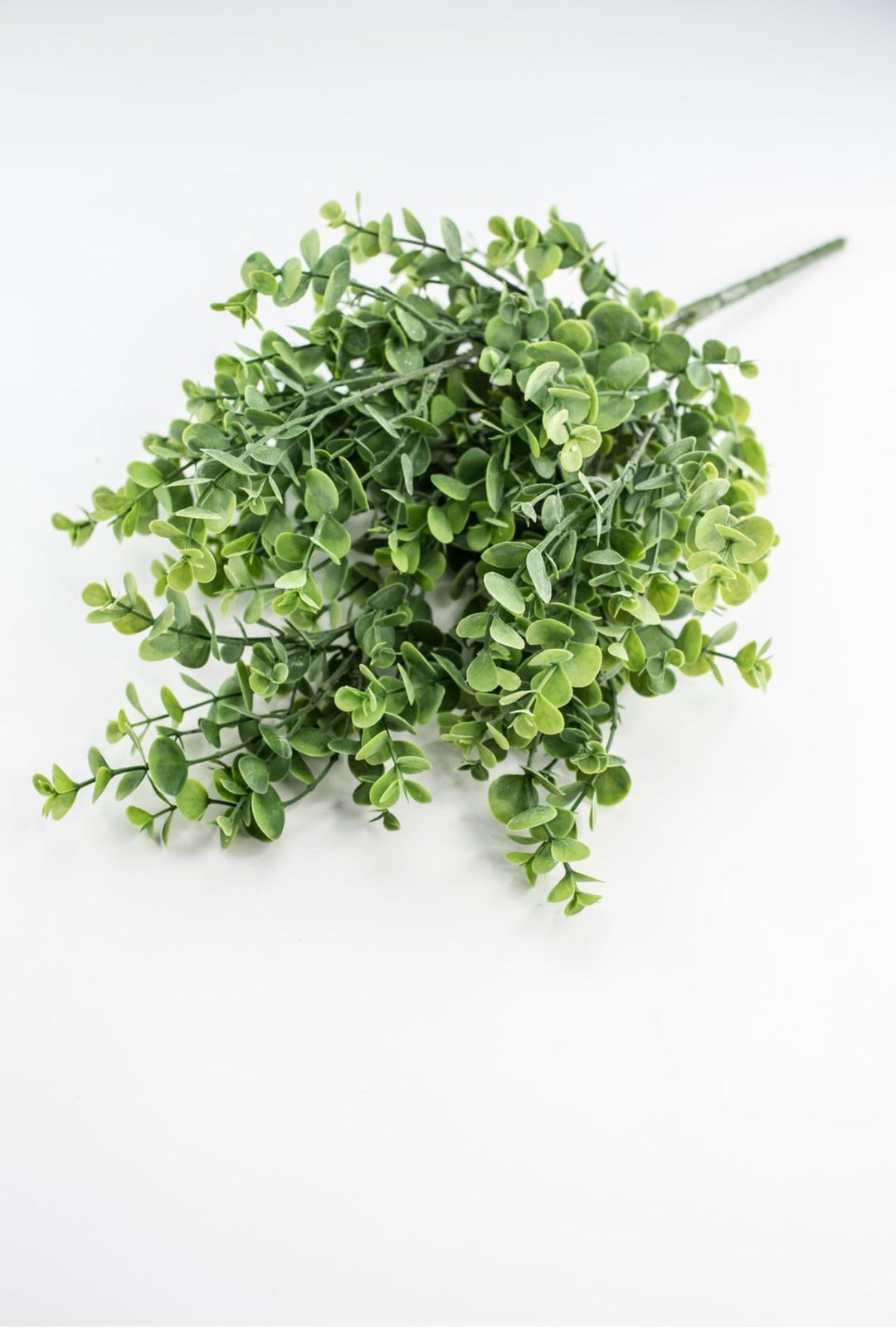 Eucalyptus bush - light green - Greenery Market84816 - FROSTED