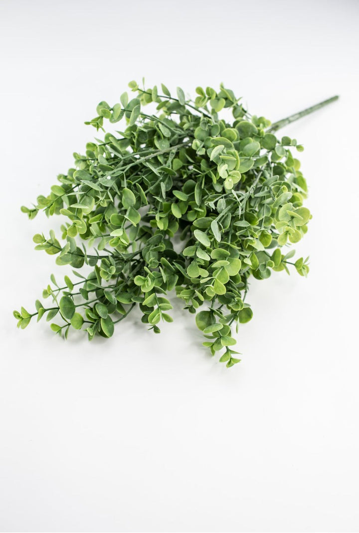 Eucalyptus bush - light green - Greenery Market84816 - FROSTED