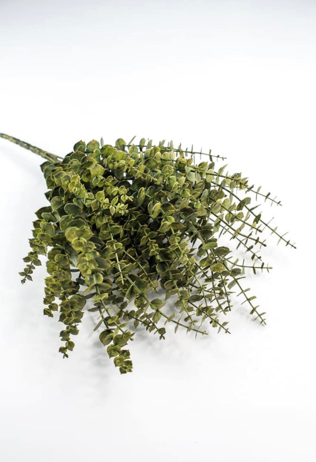 Eucalyptus greenery bush - moss - Greenery Market84676 - GN