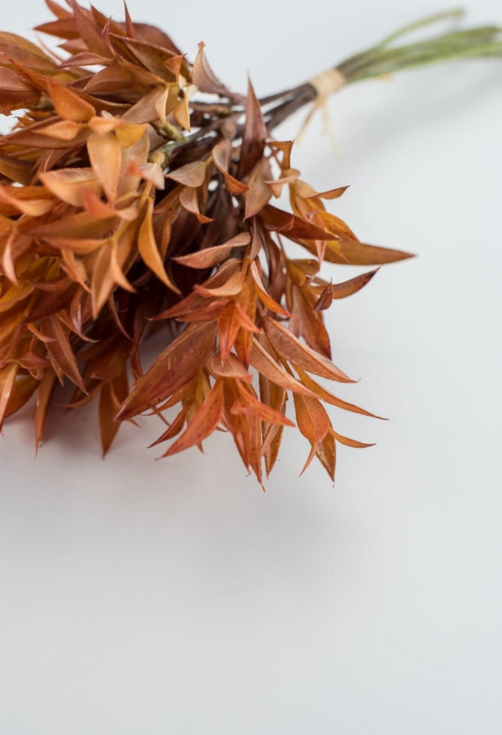 Eucalyptus leaf bundle - sunset - Greenery Market27205