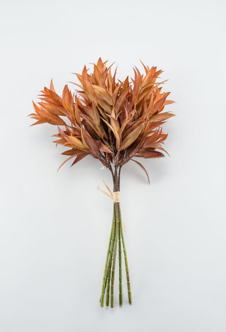 Eucalyptus leaf bundle - sunset - Greenery Market27205