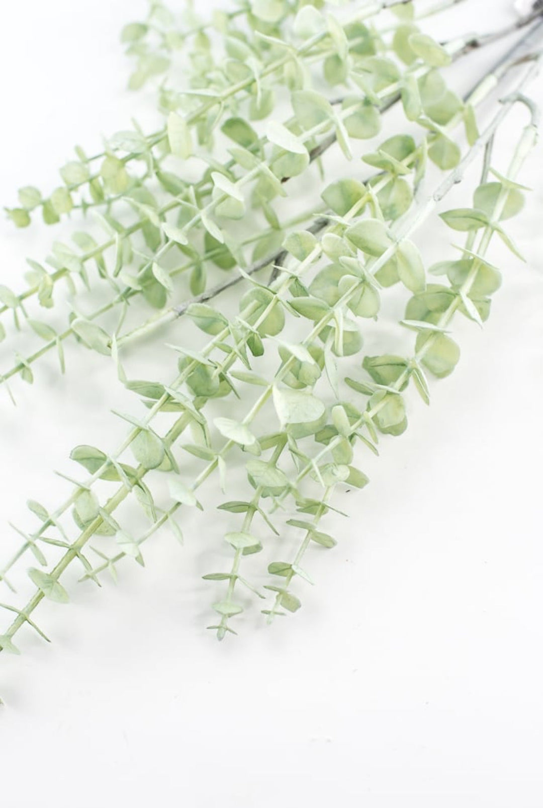 Eucalyptus spray - light green - petite leaf - Greenery MarketArtificial Flora233068