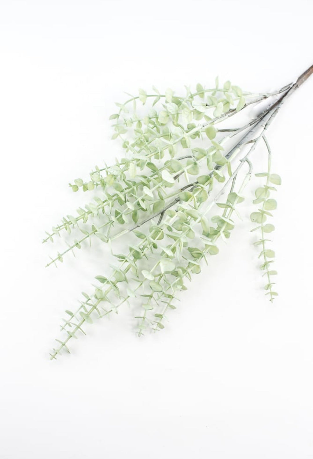 Eucalyptus spray - light green - petite leaf - Greenery MarketArtificial Flora233068