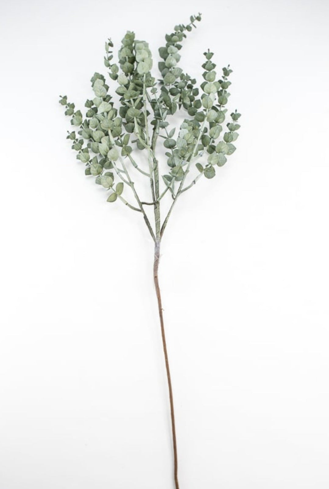 Eucalyptus spray - petite leaf - Greenery MarketArtificial Flora233067