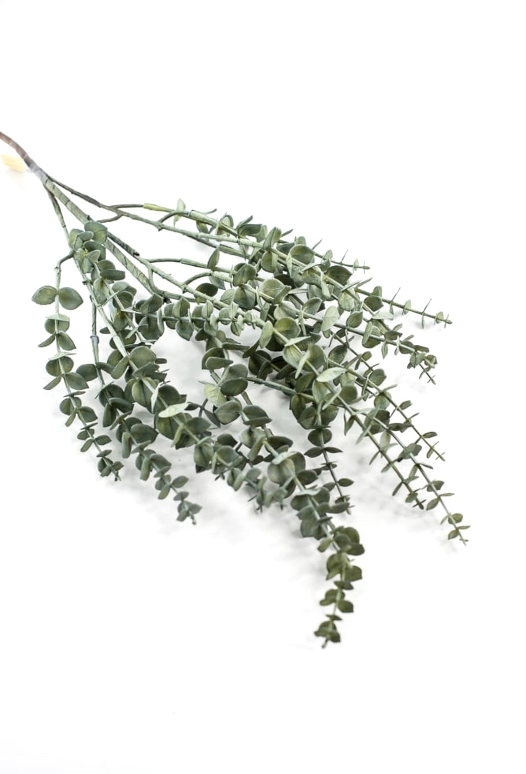 Eucalyptus spray - petite leaf - Greenery MarketArtificial Flora233067