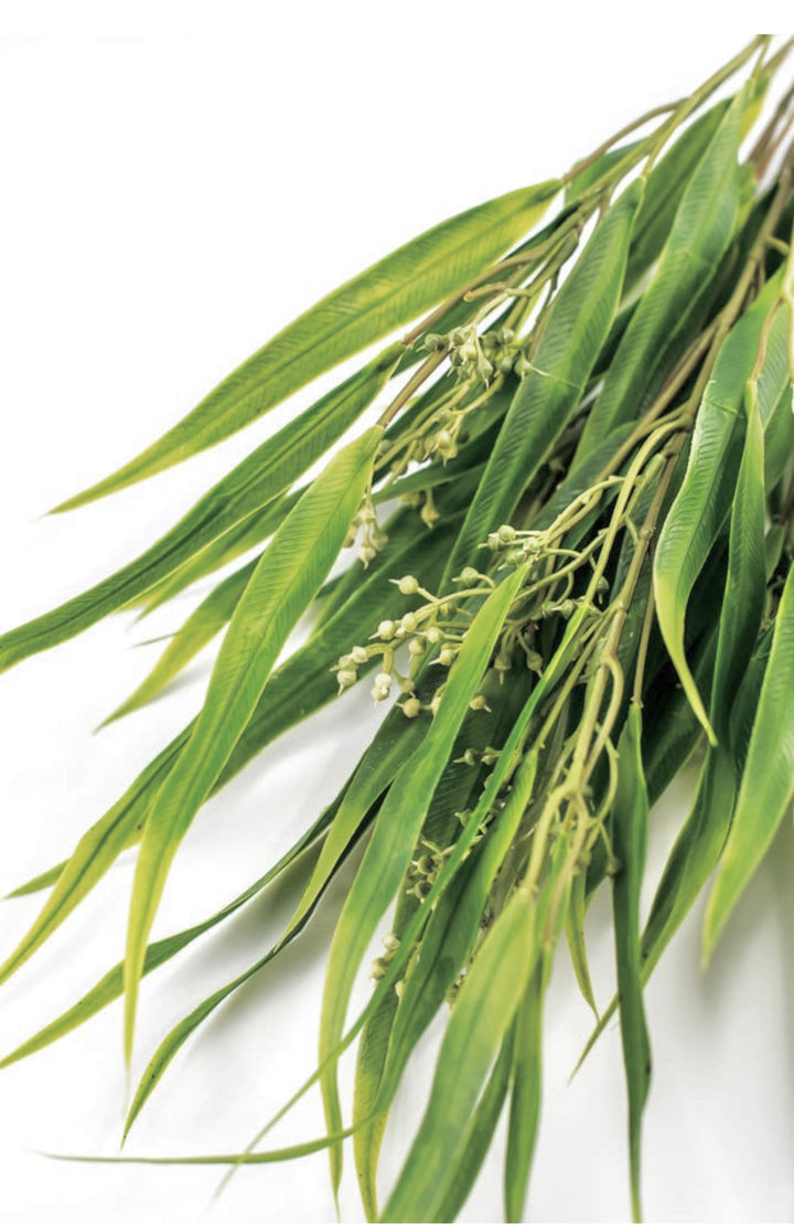 Eucalyptus with seed greenery bush - Greenery Market26960