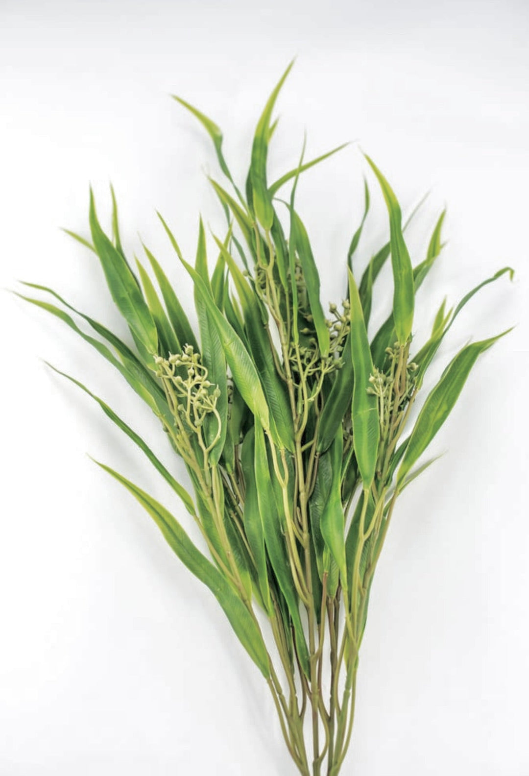 Eucalyptus with seed greenery bush - Greenery Market26960