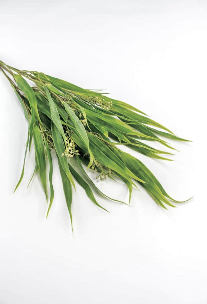 Eucalyptus with seed greenery bush - Greenery Market26960