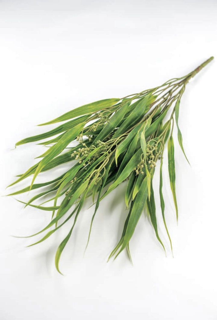 Eucalyptus with seed greenery bush - Greenery Market26960