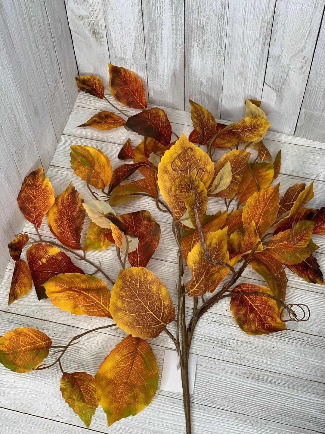 Fall, aspen, leaves branch - Greenery MarketgreeneryMTH12648