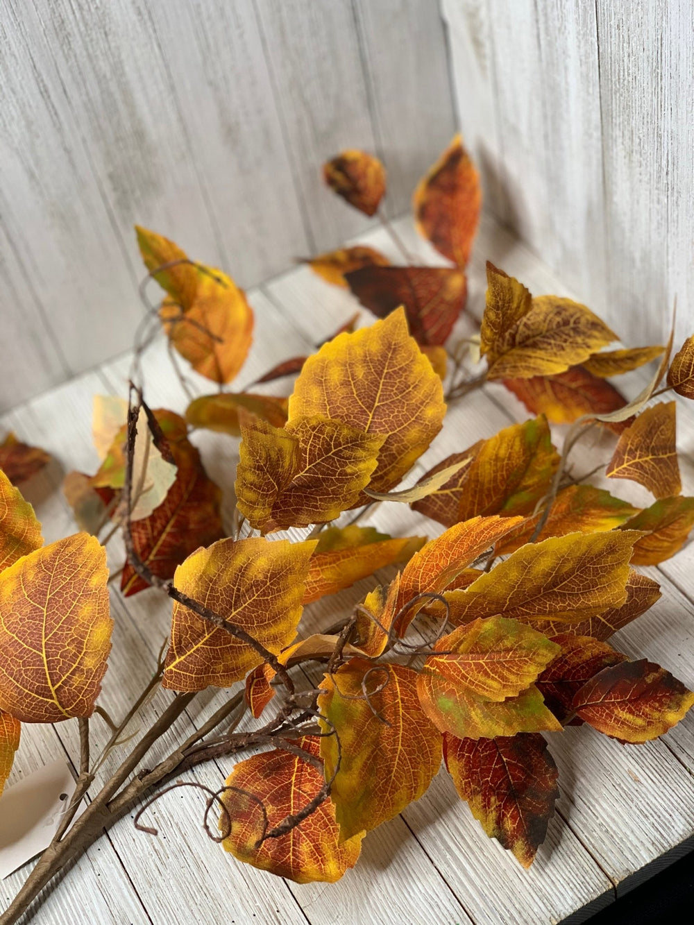 Fall, aspen, leaves branch - Greenery MarketgreeneryMTH12648