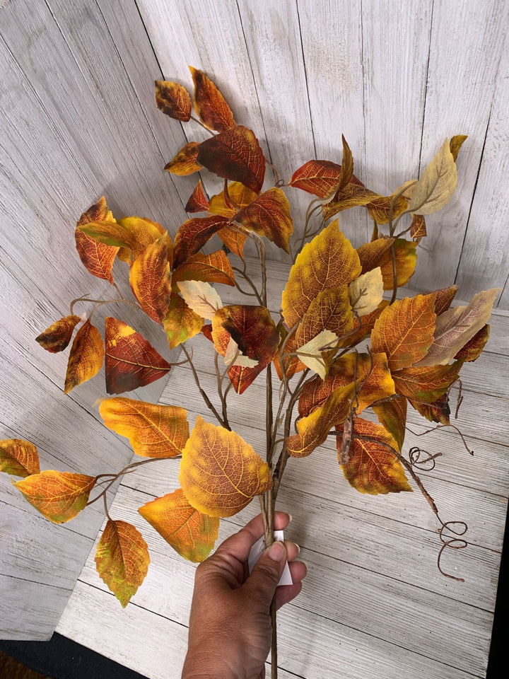Fall, aspen, leaves branch - Greenery MarketgreeneryMTH12648