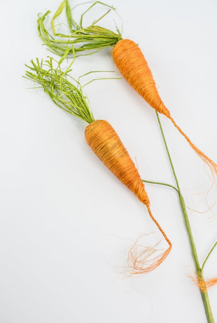 Faux Carrot spray - Greenery MarketWreath attachments63030or