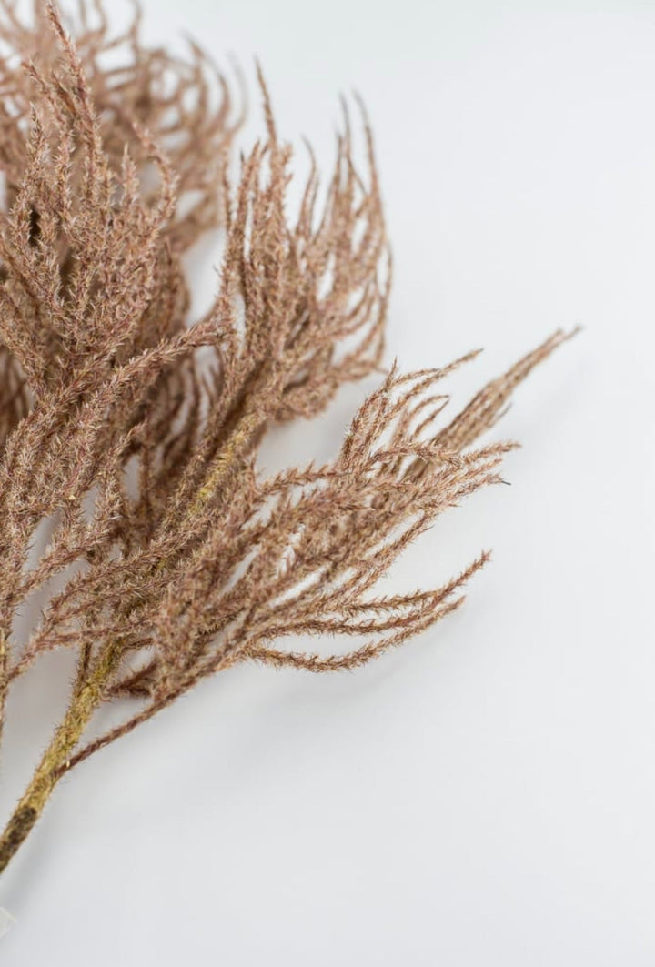 Faux Dried reed spray - brown - Greenery MarketArtificial Flora26427