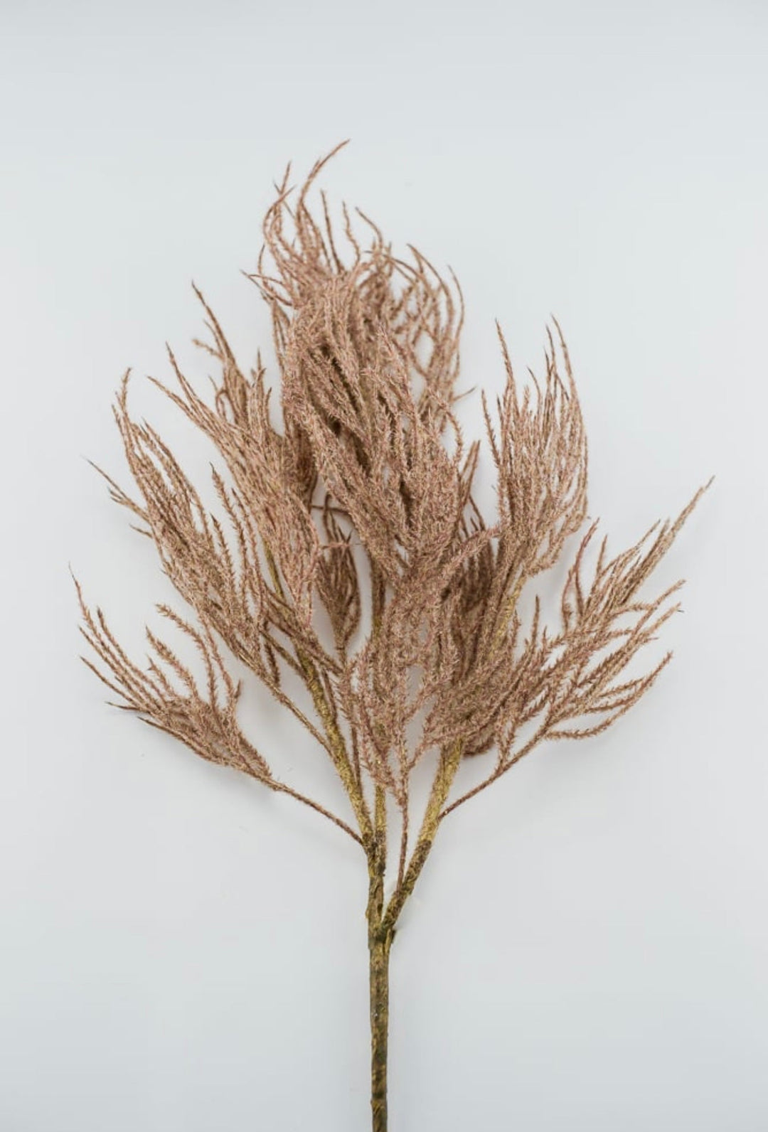 Faux Dried reed spray - brown - Greenery MarketArtificial Flora26427