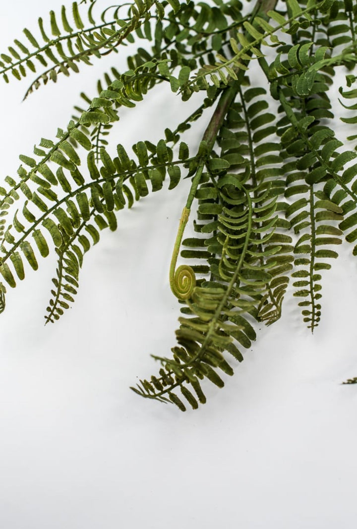 Fern branch and fronds - Greenery MarketFl6192 - G