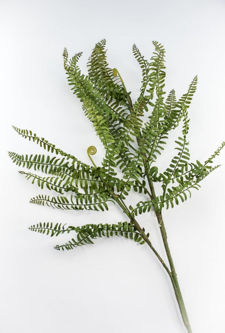 Fern branch and fronds - Greenery MarketFl6192 - G