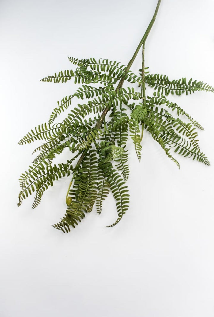 Fern branch and fronds - Greenery MarketFl6192 - G