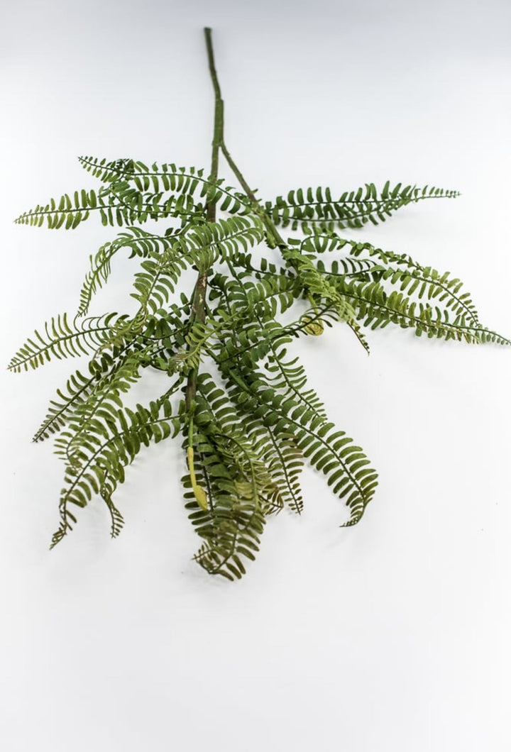 Fern branch and fronds - Greenery MarketFl6192 - G