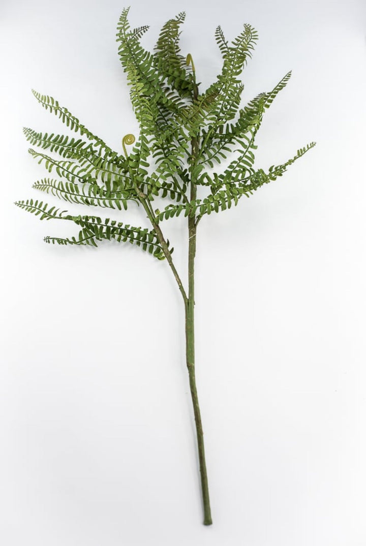 Fern branch and fronds - Greenery MarketFl6192 - G