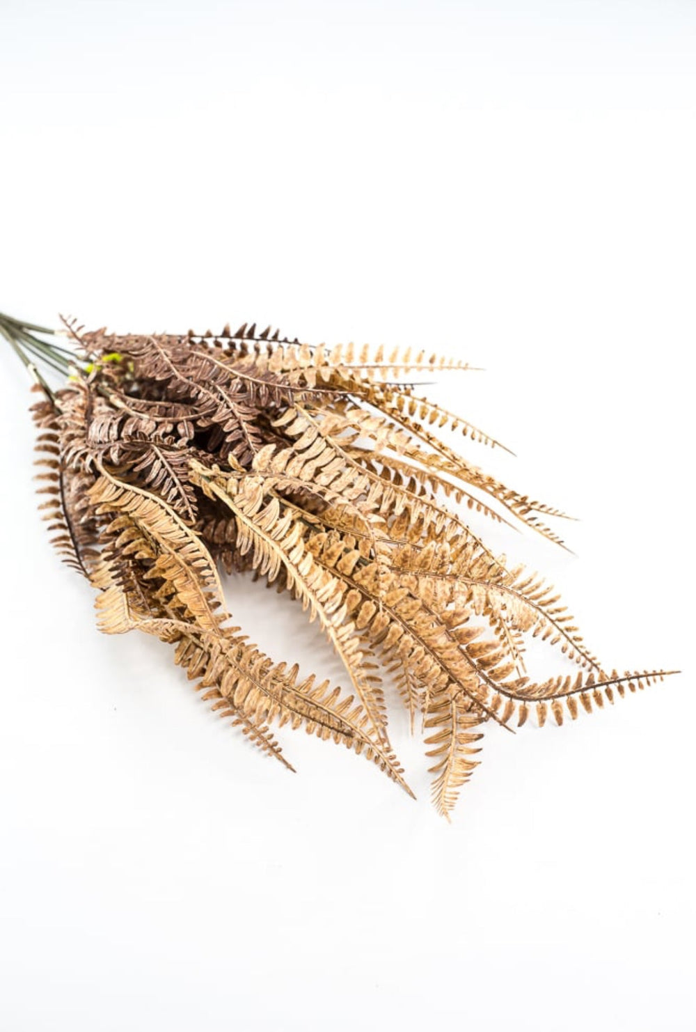 Fern bush - tan brown - Greenery Marketgreenery56809LTBN