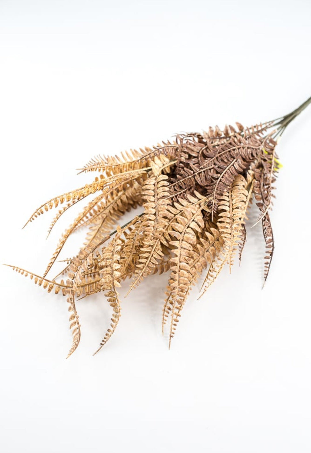 Fern bush - tan brown - Greenery Marketgreenery56809LTBN