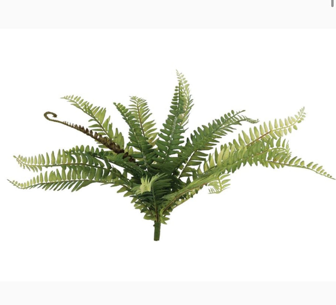 Fern bush with fronds - Greenery MarketgreeneryFL6971 - G