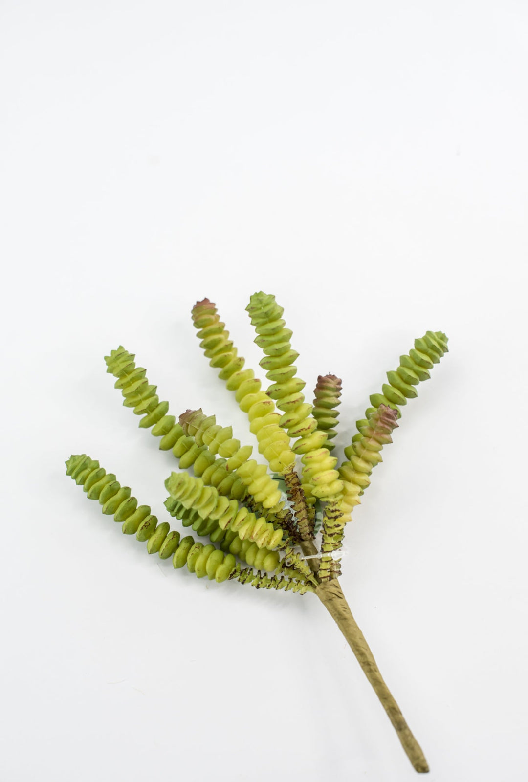Finger succulent pick - Greenery MarketArtificial SucculentsMTF23637