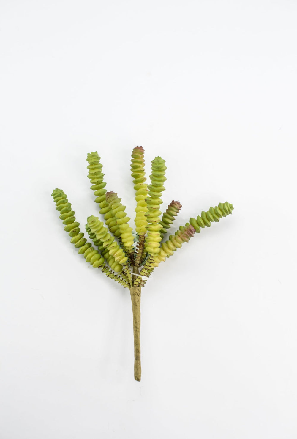 Finger succulent pick - Greenery MarketArtificial SucculentsMTF23637