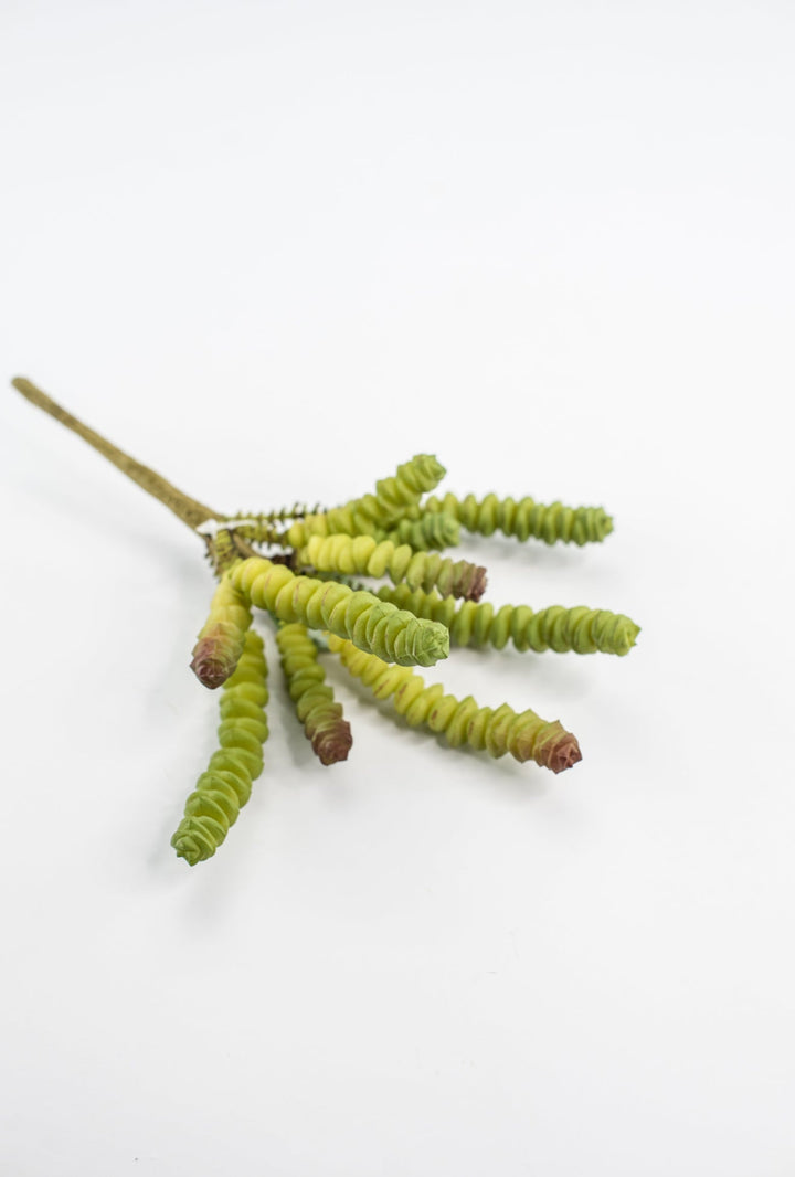 Finger succulent pick - Greenery MarketArtificial SucculentsMTF23637