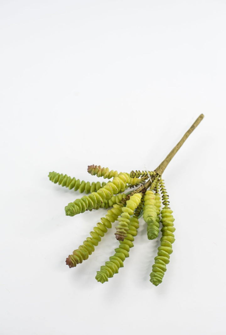 Finger succulent pick - Greenery MarketArtificial SucculentsMTF23637