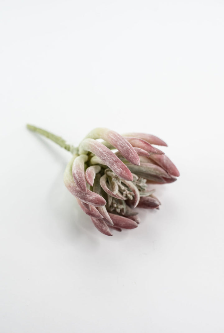 Finger succulent pick - Greenery MarketArtificial SucculentsMTF24071 DERO