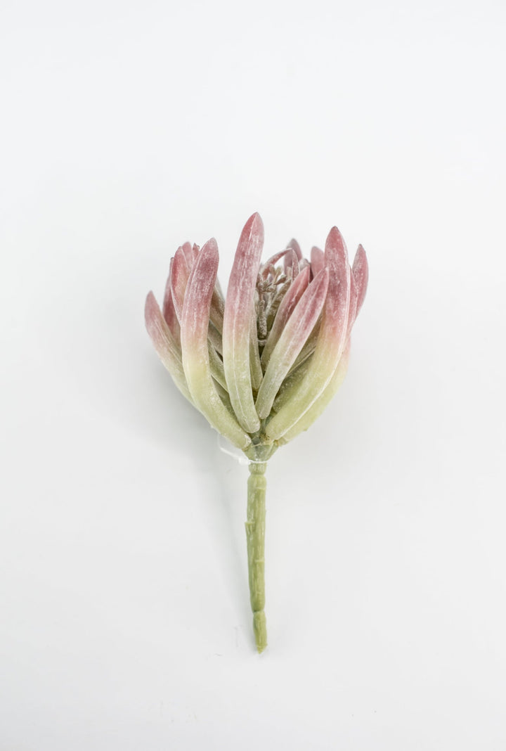 Finger succulent pick - Greenery MarketArtificial SucculentsMTF24071 DERO