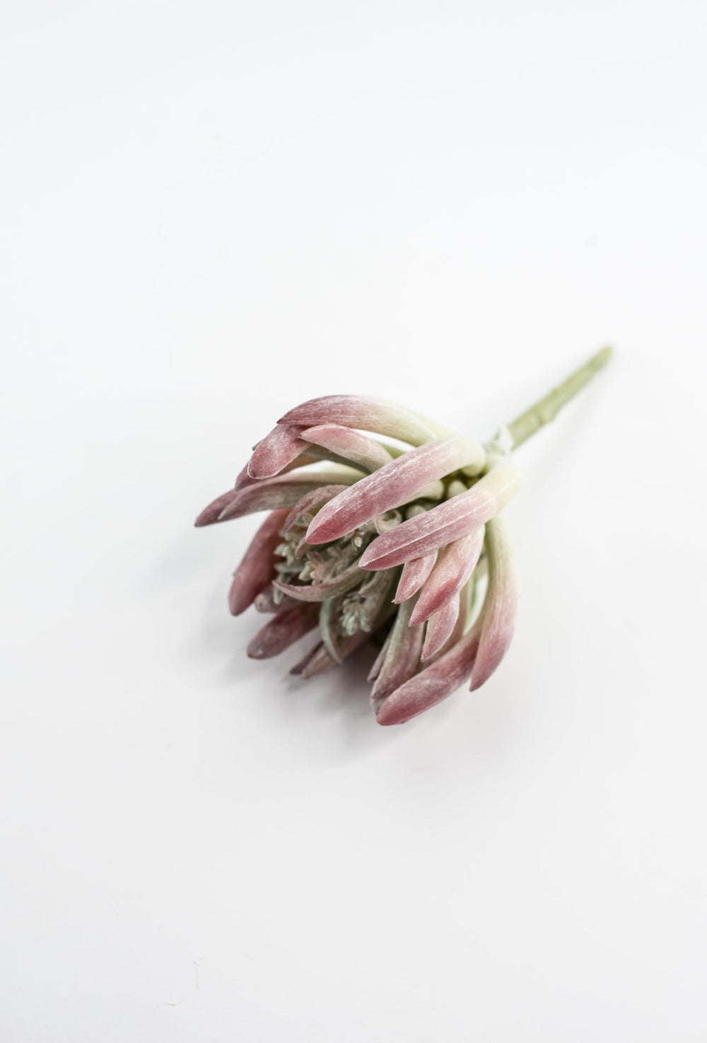 Finger succulent pick - Greenery MarketArtificial SucculentsMTF24071 DERO