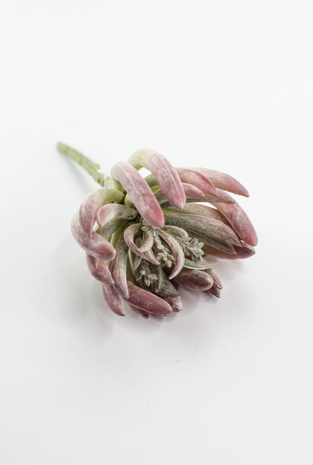 Finger succulent pick - Greenery MarketArtificial SucculentsMTF24071 DERO