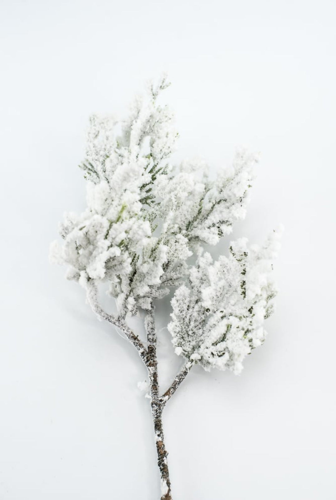 Flocked Cedar pick - Greenery Marketgreenery27285