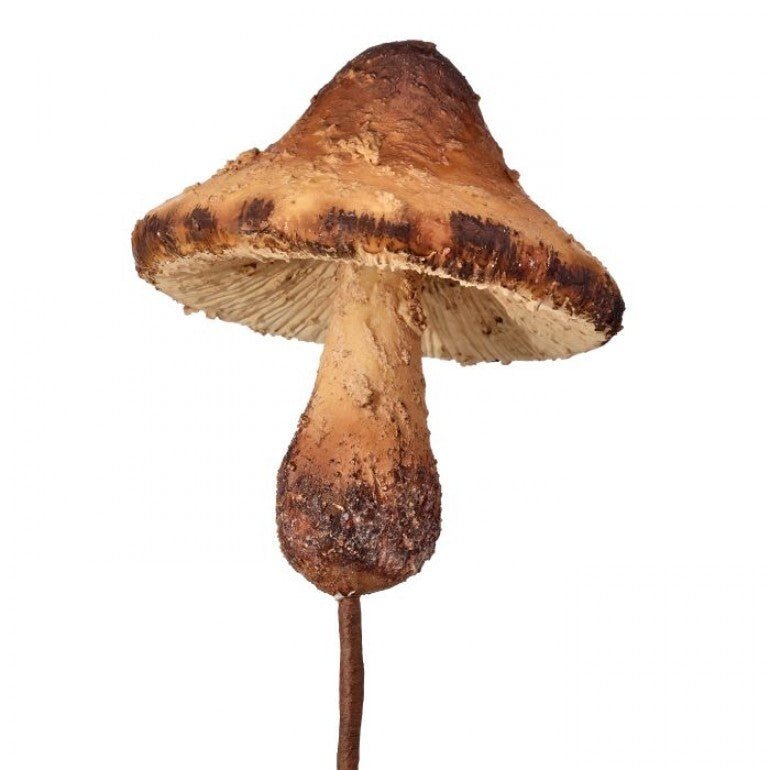Forrest mushroom pick - 12” - Greenery MarketMTX72903