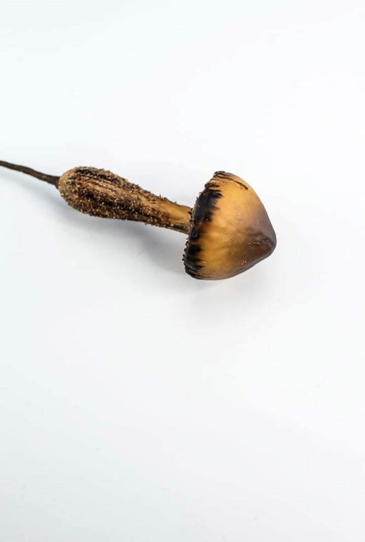 Forrest mushroom pick - Greenery MarketMTX72904 BEBR