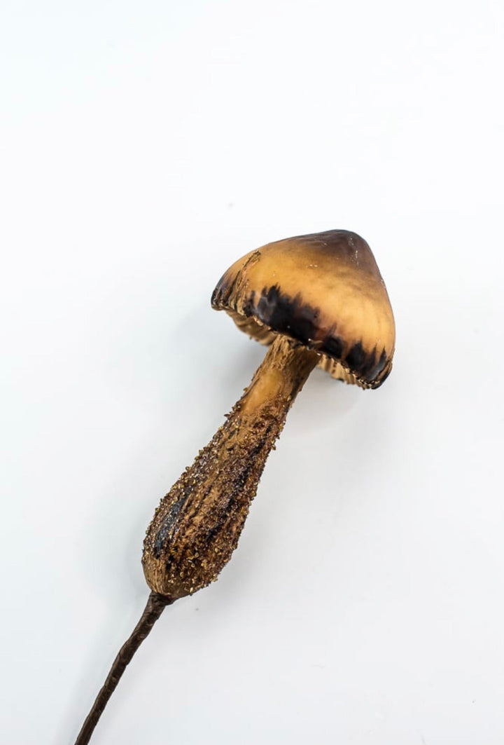 Forrest mushroom pick - Greenery MarketMTX72904 BEBR