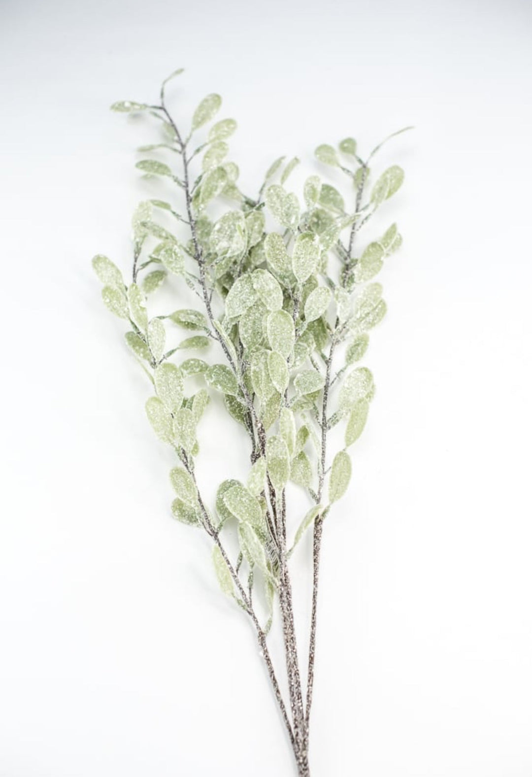 Frosted and iced myrtle bush - Greenery Market270635