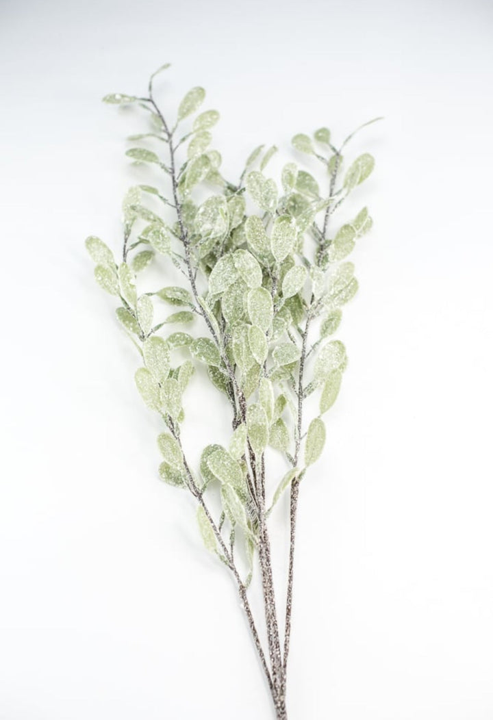 Frosted and iced myrtle bush - Greenery Market270635