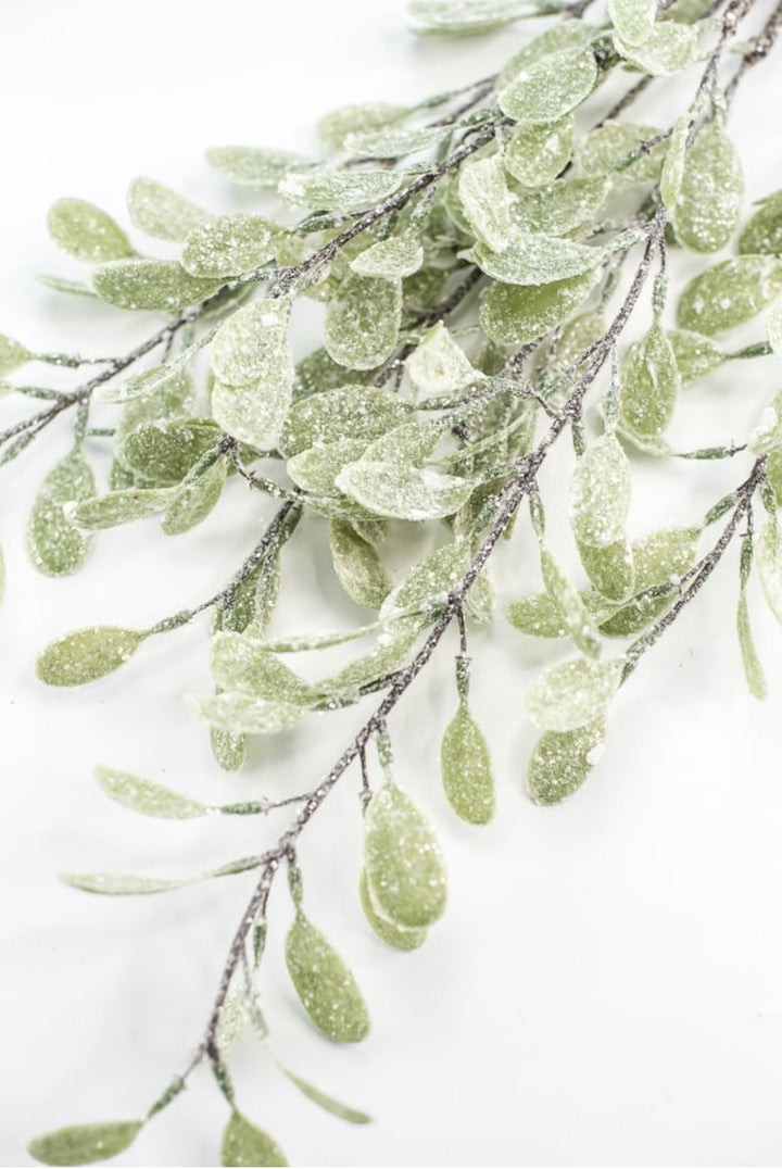 Frosted and iced myrtle bush - Greenery Market270635