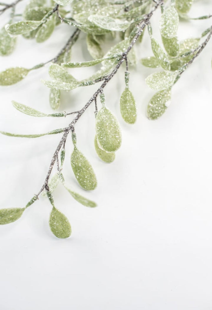 Frosted and iced myrtle bush - Greenery Market270635
