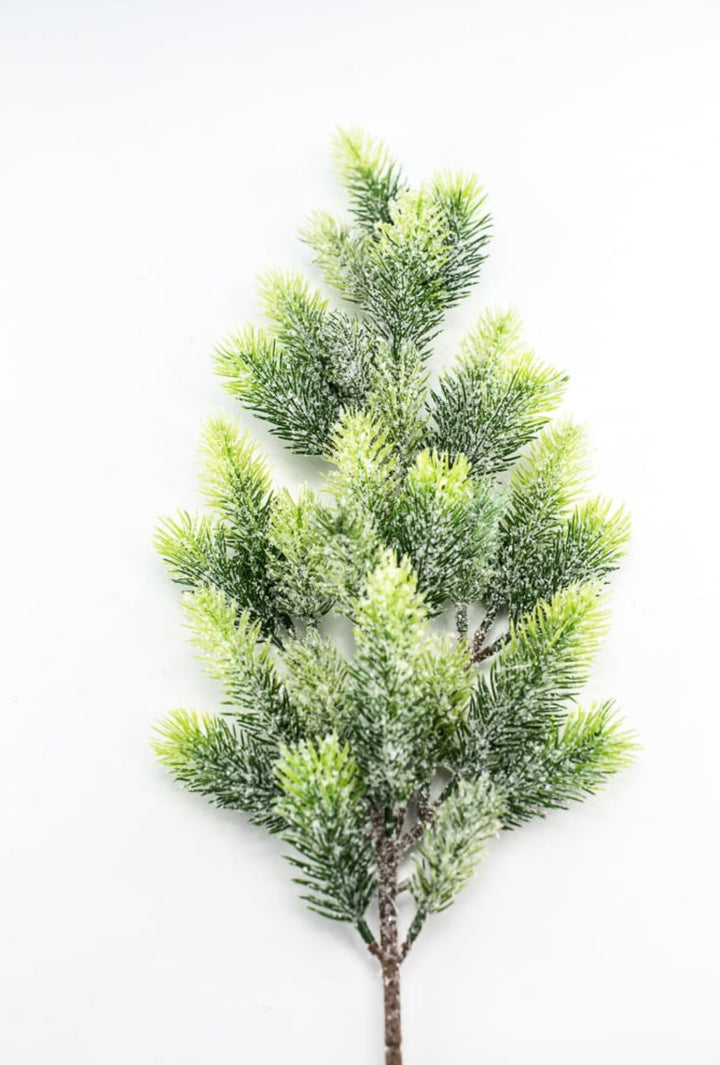 Frosted, artificial, Angel pine spray - Greenery Market83568