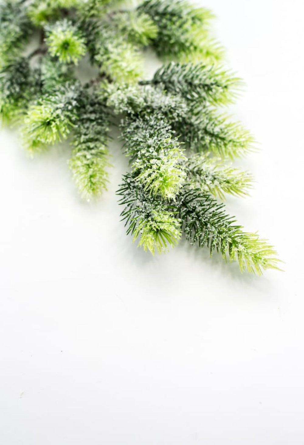 Frosted, artificial, Angel pine spray - Greenery Market83568