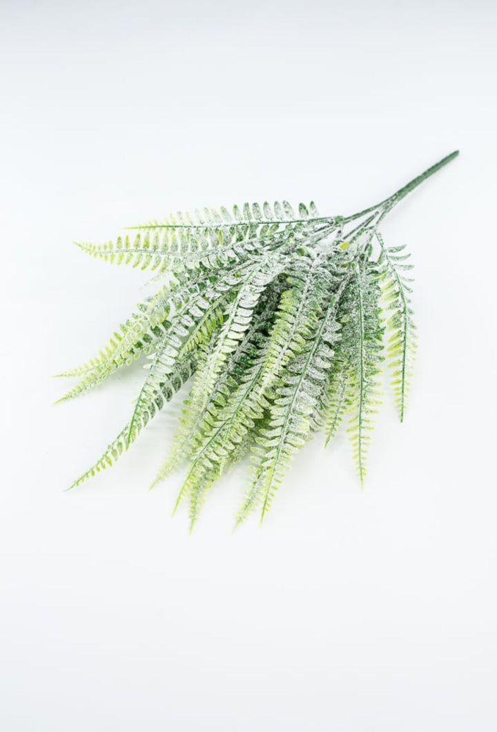 Frosted Boston Fern Bush - Greenery MarketGreenery85003FROST