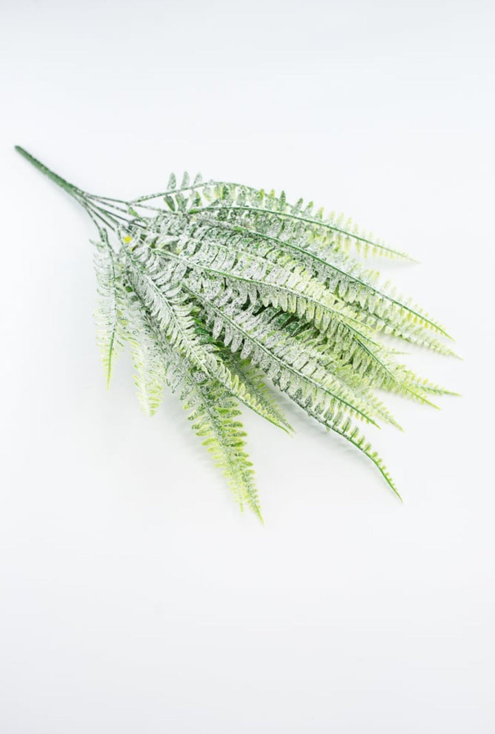 Frosted Boston Fern Bush - Greenery MarketGreenery85003FROST