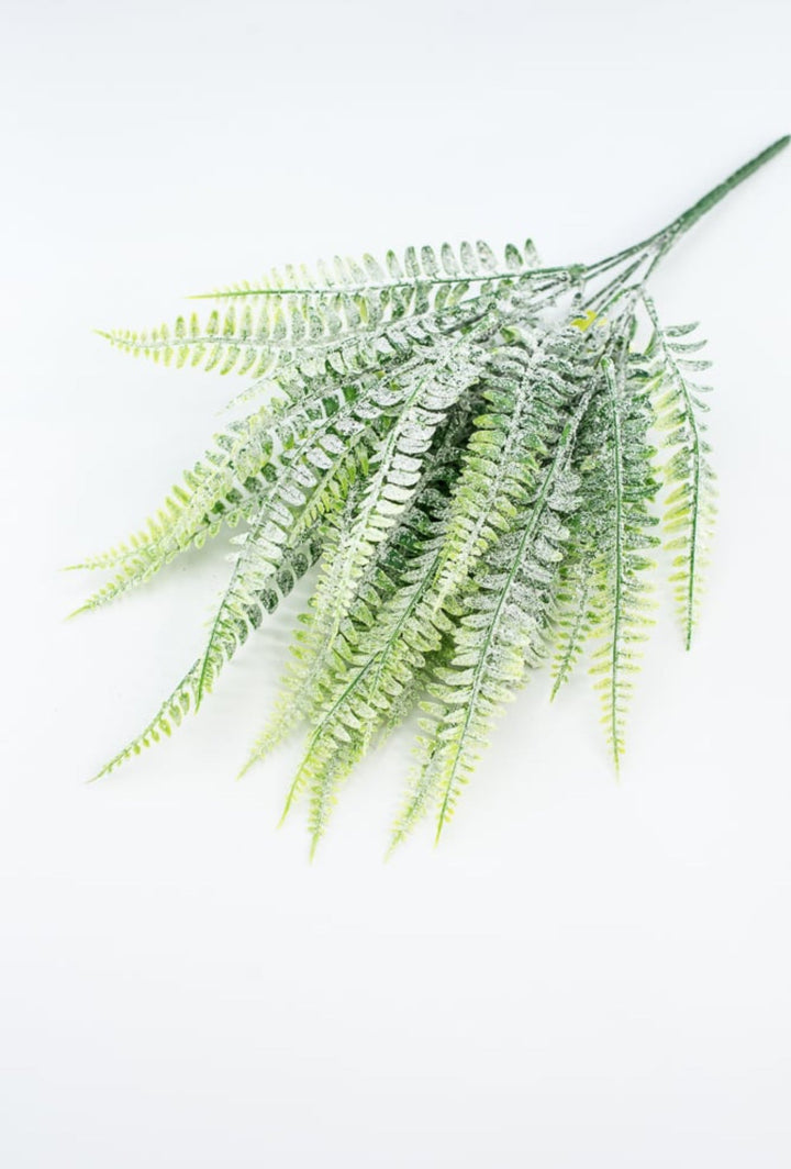 Frosted Boston Fern Bush - Greenery MarketGreenery85003FROST