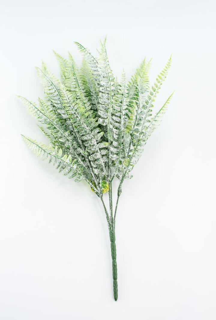 Frosted Boston Fern Bush - Greenery MarketGreenery85003FROST